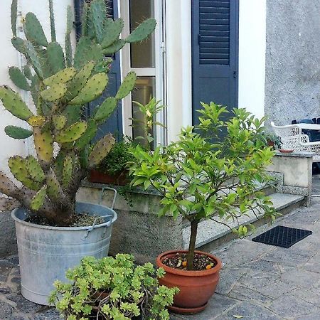 All'Ombra Dei Tassi Mandello del Lario Bagian luar foto